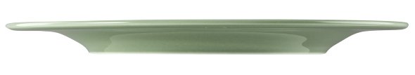 Seltmann Weiden Speiseteller rund 27,5 cm Beat 3 Salbeigrün