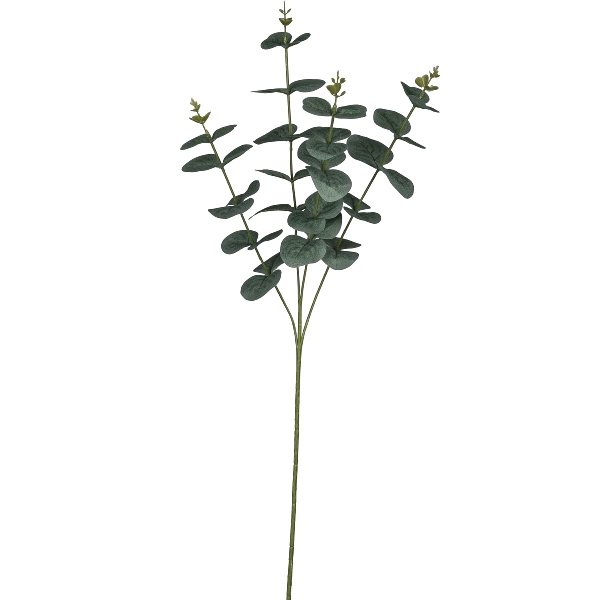 Gasper Eukalyptuszweig, 69cm,grau in Farbe Grau, Eukalyptus, Stängel, Blätter, Zweig, Kunstpflanze