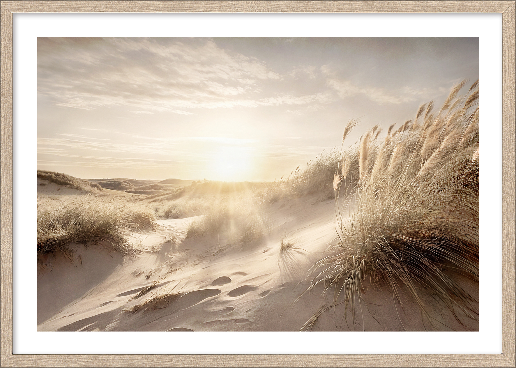 PRO ART Framed-Art Scandic Living 105x75cm Dune Grass At Sunrise PRO ART Framed-Art Scandic Living 105x75cm Dune Grass At Sunrise