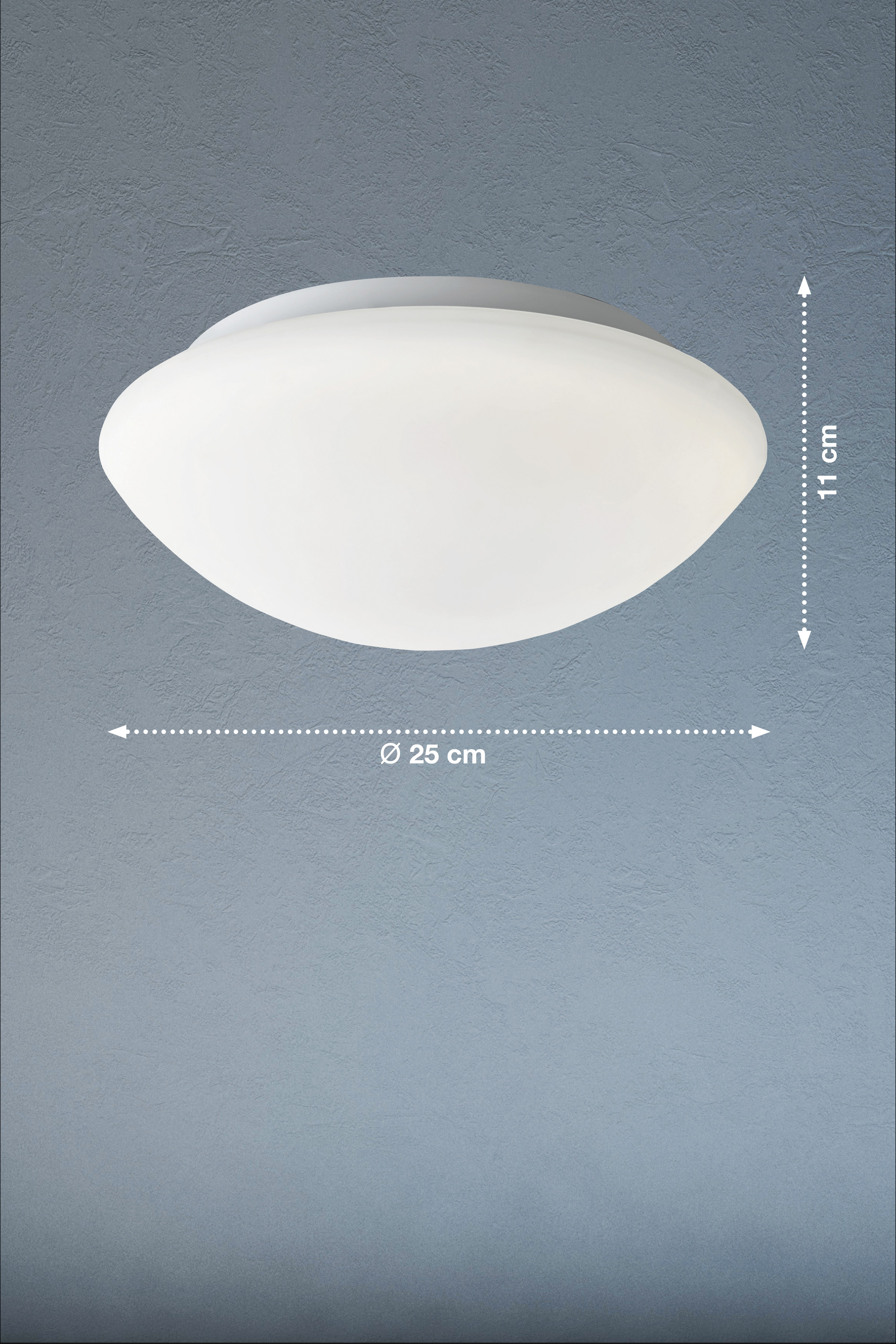 Fischer & Honsel LED-Deckenleuchte CLARA in Glas opal matt