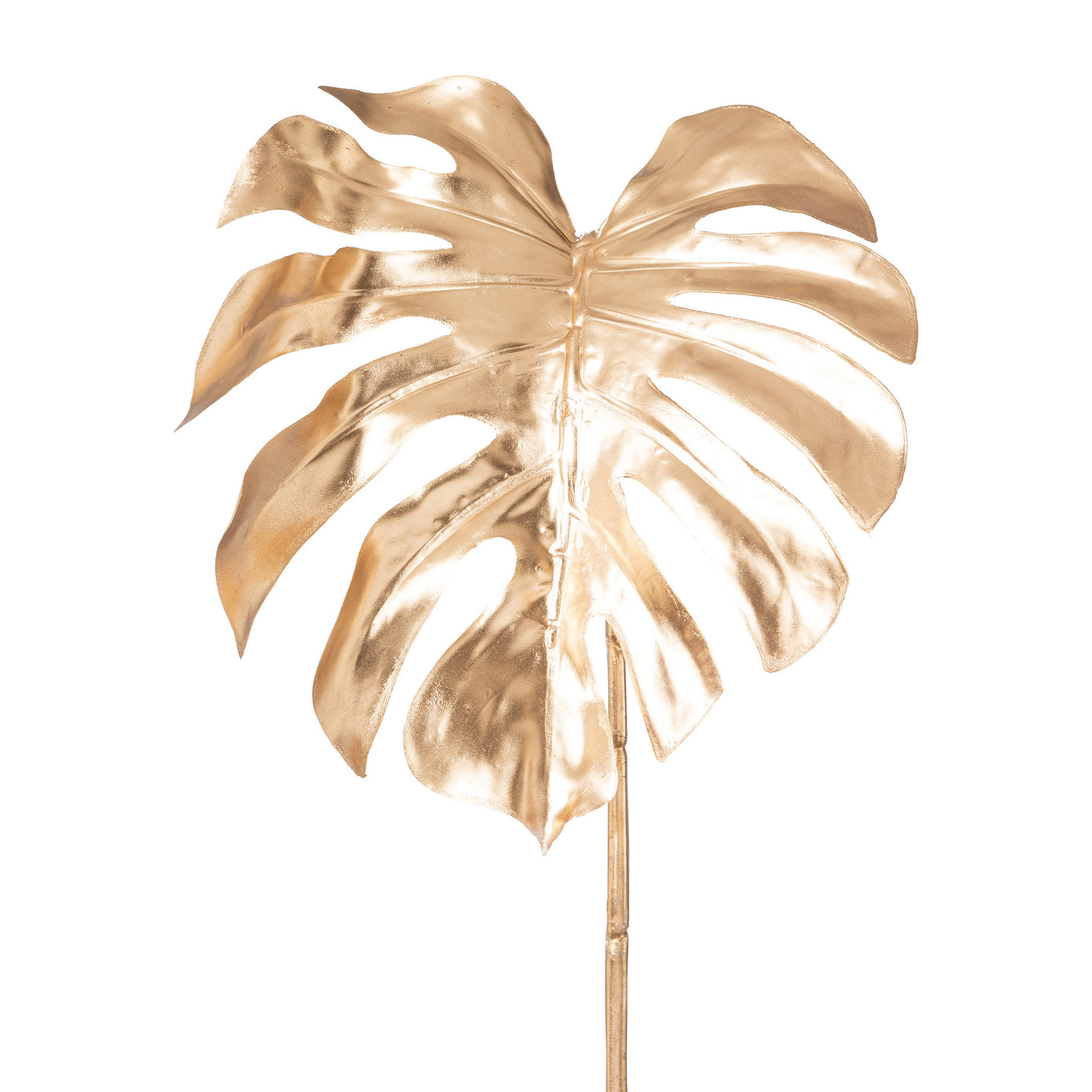 Gasper Splitphiloblatt, 71 cm Matias in Gold