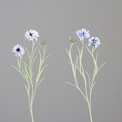 DPI Kornzweig in Farbe light-blue combination, Gänseblümchen, Blume, Pflanze, Muster, Anemone