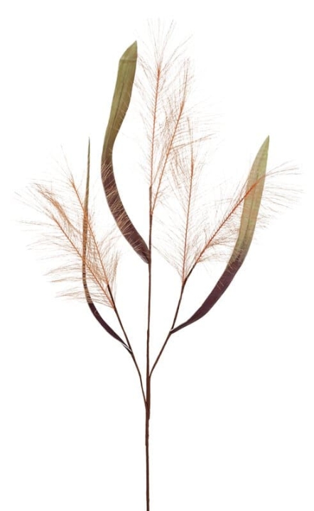 Andreas Soft flower 'Schilfgras' in 110cm, aprikose // Schilfgras // aprikose // Höhe ca. 110 cm