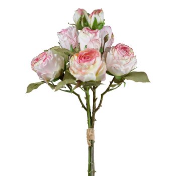 Gasper Vintagerosenbund in Farbe Rosa