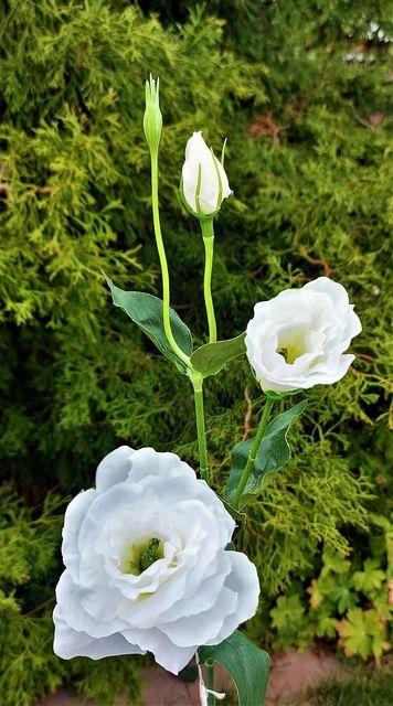 Andreas Lisianthus 67cm in Lisianthus 67cm