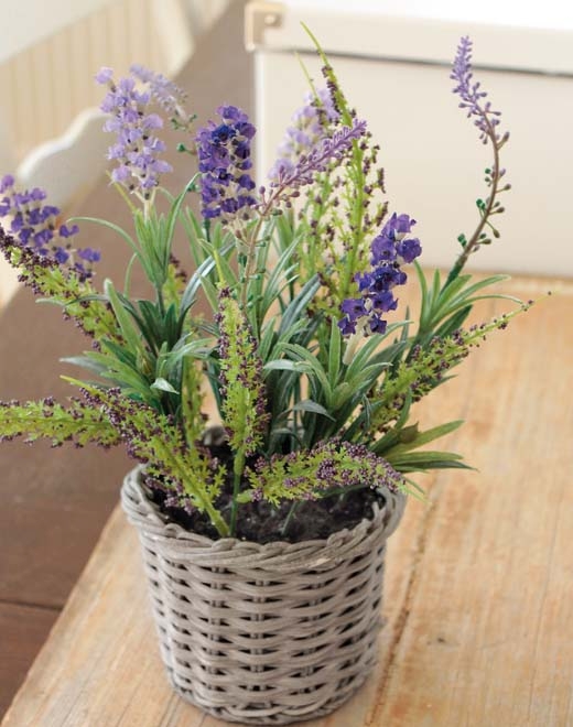  // Lavendel im Korb // dunkelviolett // Höhe ca. 30 cm
