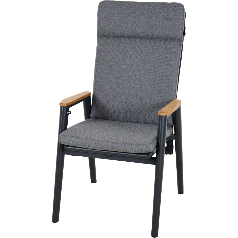 Diningsessel CORTINA ca.B61 H108 T76 cm in Aluminium matt anthrazit