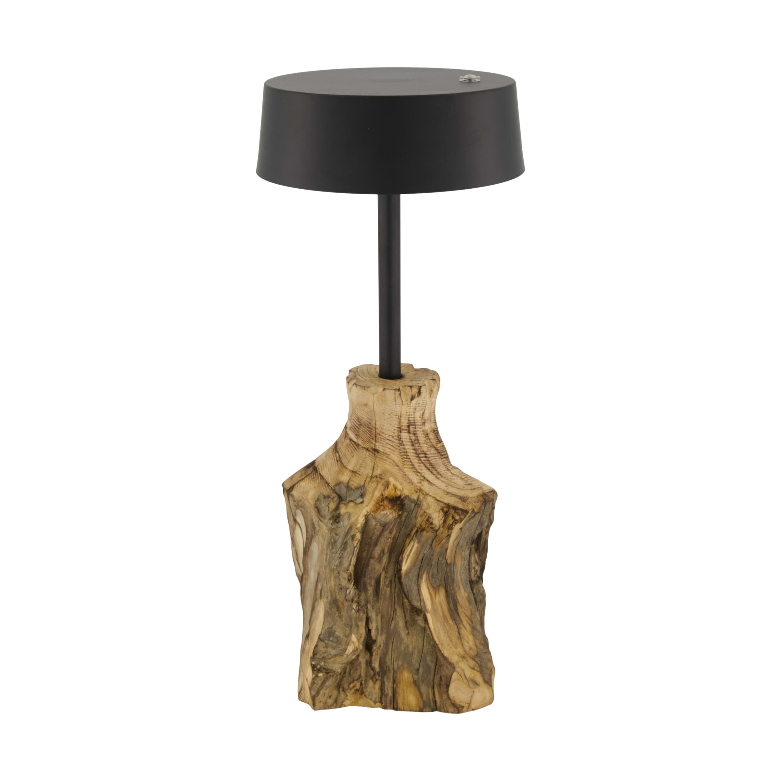 Dijk Natural Collections Tischleuchte in Farbe natur, schwarz, Lampe, Pflanze, Baum, Tischlampe