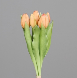 DPI Tulpen Bund in Farbe salmon