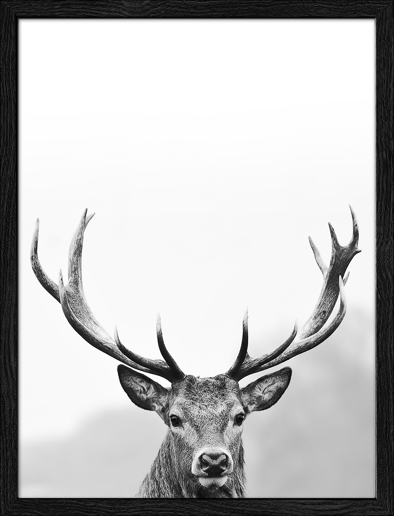 PRO ART Framed-Art Slim Scandic 43x33cm Grey Dead Head III