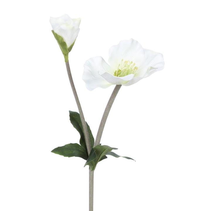 Christrose 44cm weiß 101512-40 in Weiß, weiß, Blume, Stiel, Blüte, Pflanzenzweig