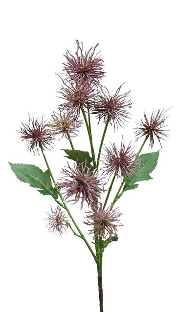  // Xanthium // hellviolett // Höhe ca. 62 cm