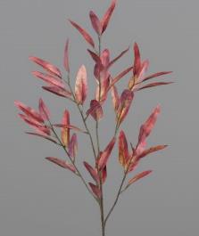 DPI Eukalyptus 57402-73 in 96cm Fb. orange-red DPI Eukalyptus 57402-73 in 96cm Fb. orange-red