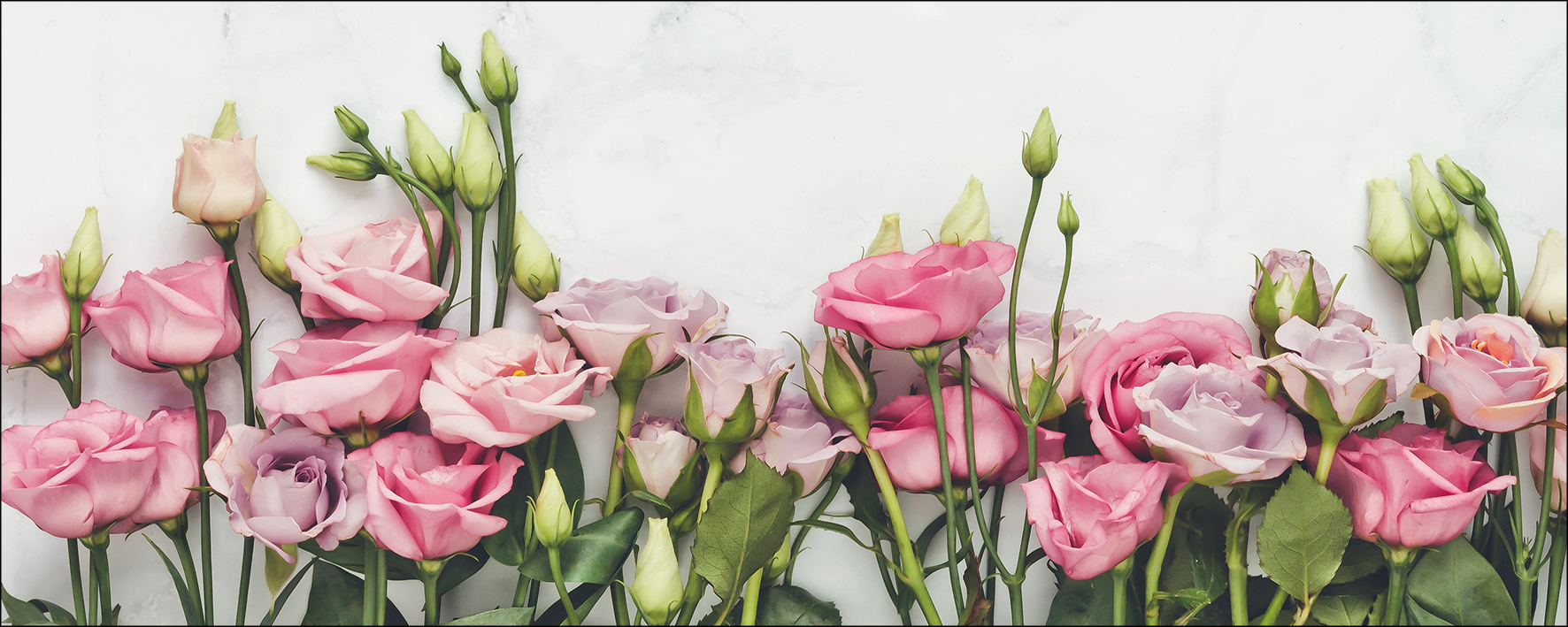 PRO ART Glas-Art 80x30cm Peonies IV