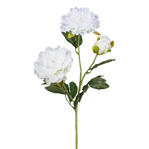 Gasper Peonie x 3, 63 cm, weiß in Farbe Weiß, Blume, Rose, Weiße Rose, Zweig, Blätter