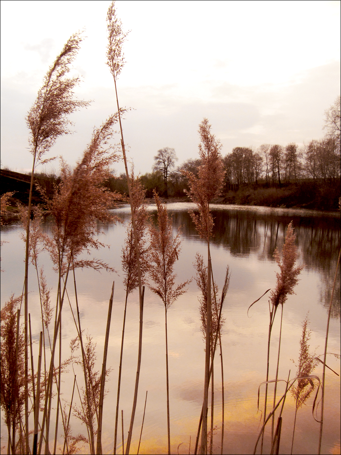 ProArt Glas-Art 60x80cm Evening at the Lake I