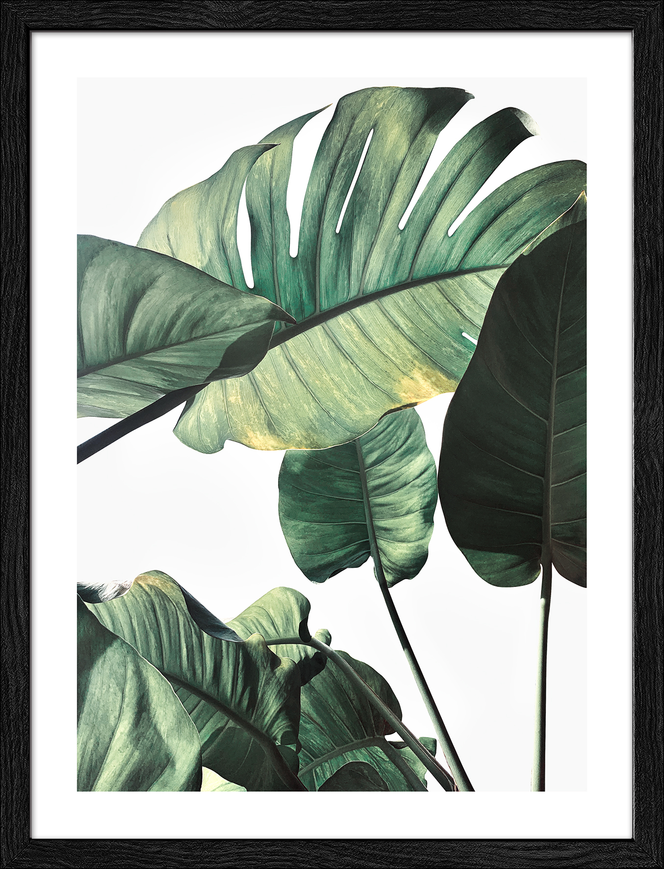 ProArt Framed-Art Slim Scandic 33x43cm Jungle Leaves II
