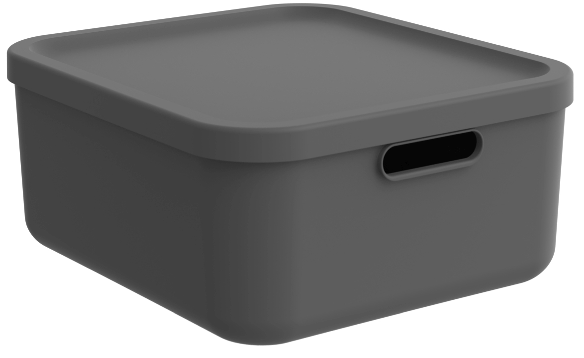 Rotho Box ALBULA LIGHT 20 Liter in Farbe anthrazit