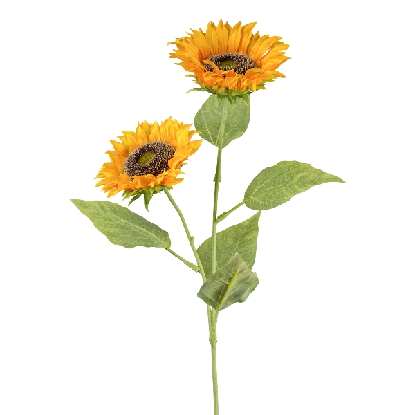 Gasper Sonnenblume x 2, 66 cm, gelb in Farbe Gelb, Sonnenblumen, Blumen, Stielblume, Grün, Blattgrün