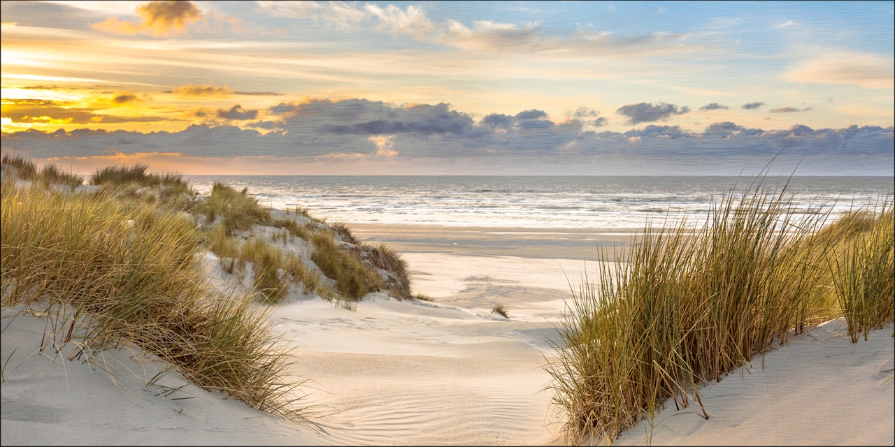ProArt Alu-Art 100x50cm Dune at sunset