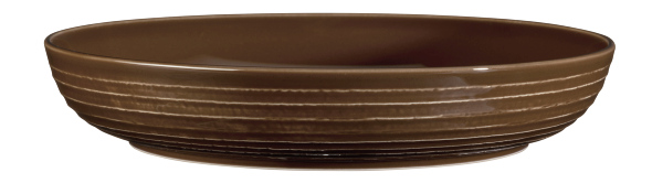 Seltmann Weiden Foodbowl 28cm Terra 3 Erdbraun Seltmann Weiden Foodbowl 28cm Terra 3 Erdbraun