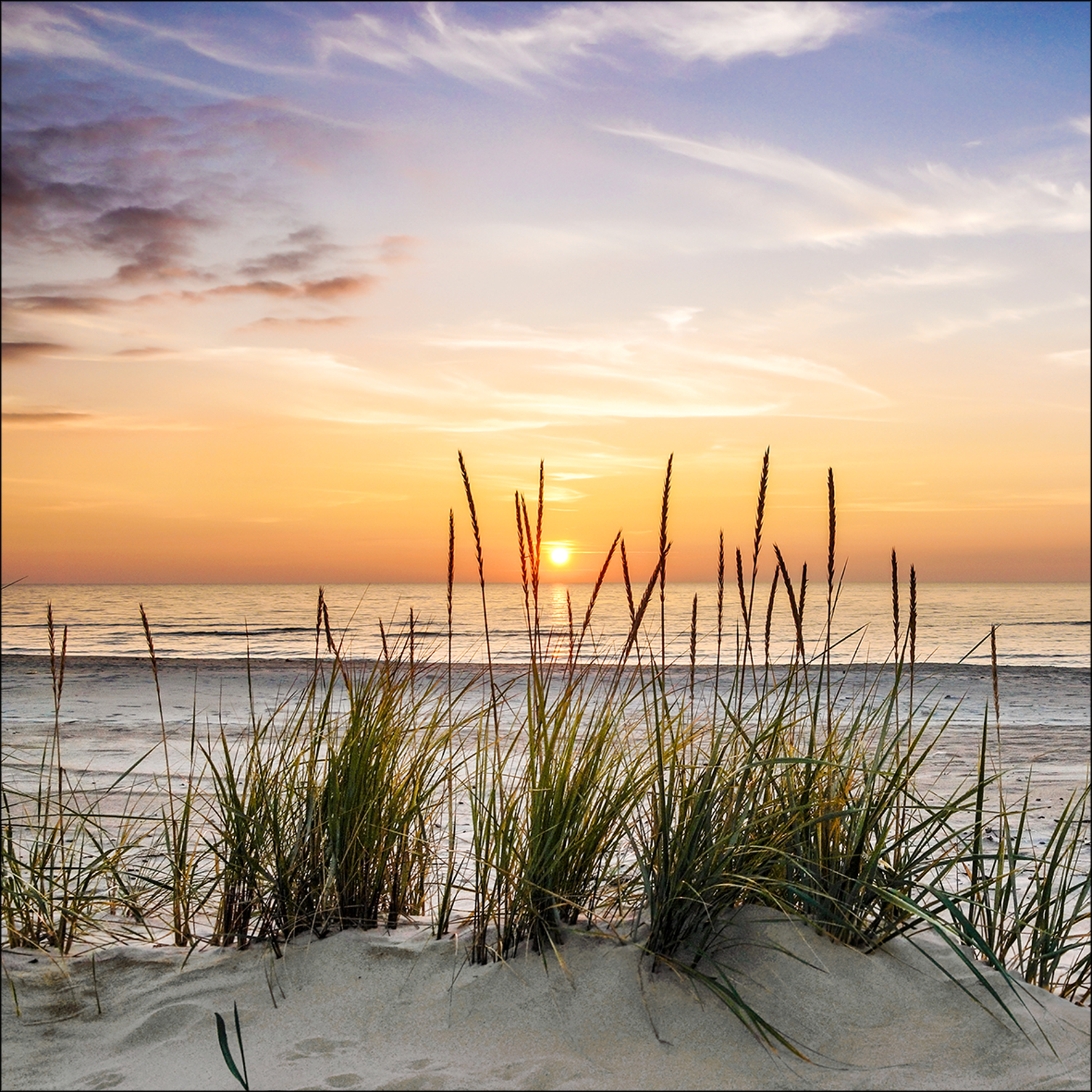 PRO ART Glas-Art 50x50cm Lonely Dune PRO ART Glas-Art 50x50cm Lonely Dune