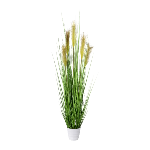 Gasper Grasbusch im weißen Topf ca.H110 cm in 110cm, grün