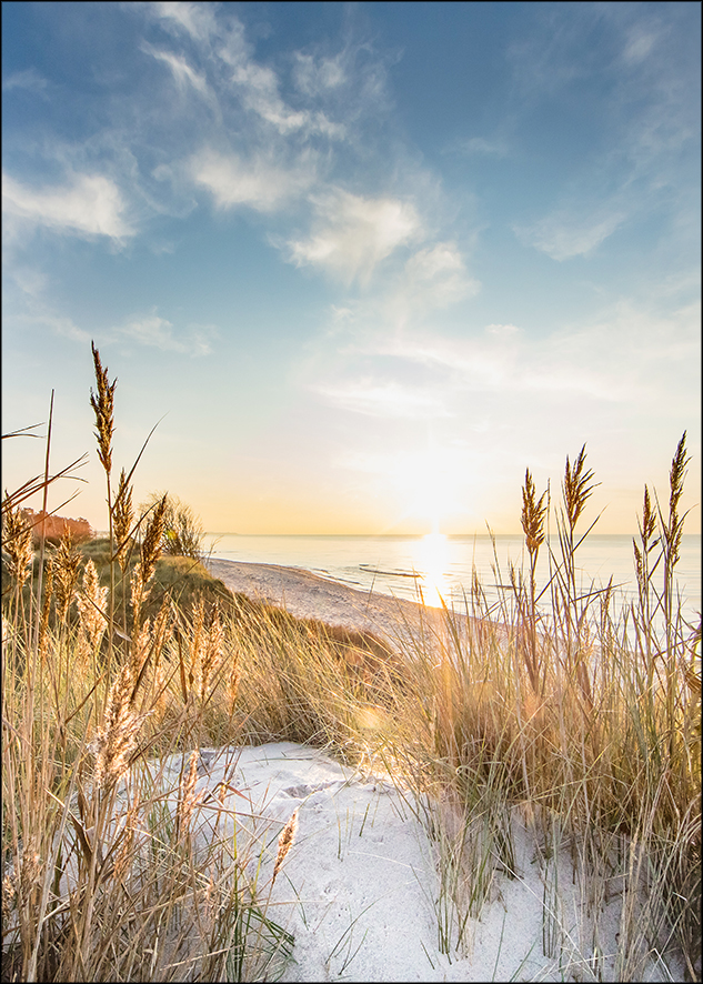 PRO ART Alu-Art 100x70cm Wilder Strand III