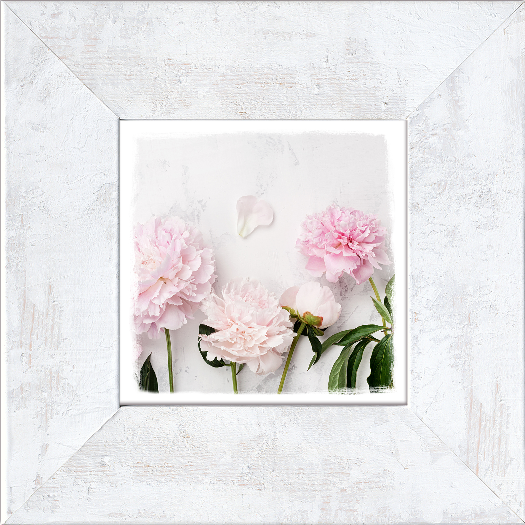 PRO ART New Classic Wood 34x34cm Peonies II