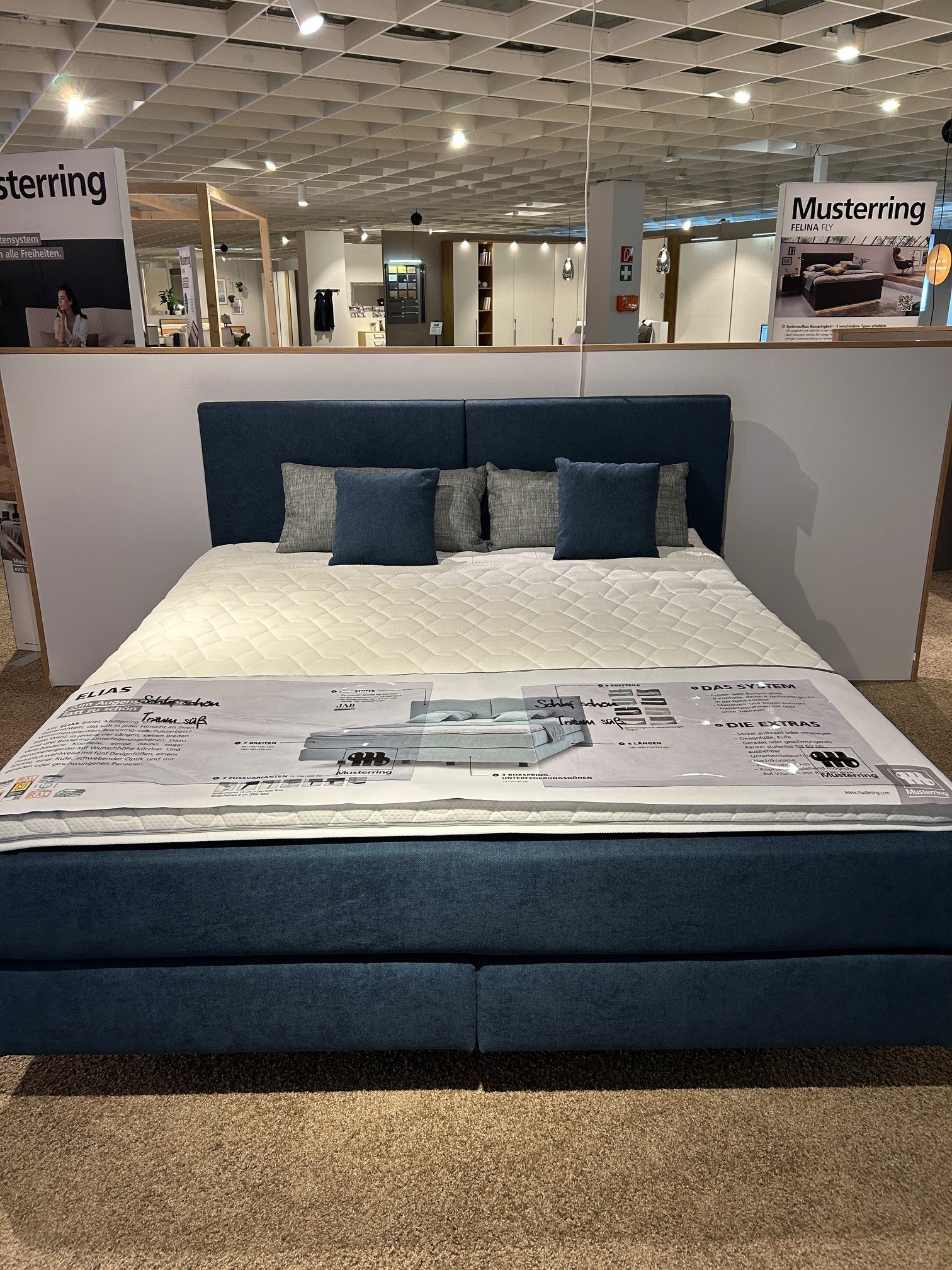 Musterring Boxspringbett ELIAS in Stoff Boxspring 08712 PG1