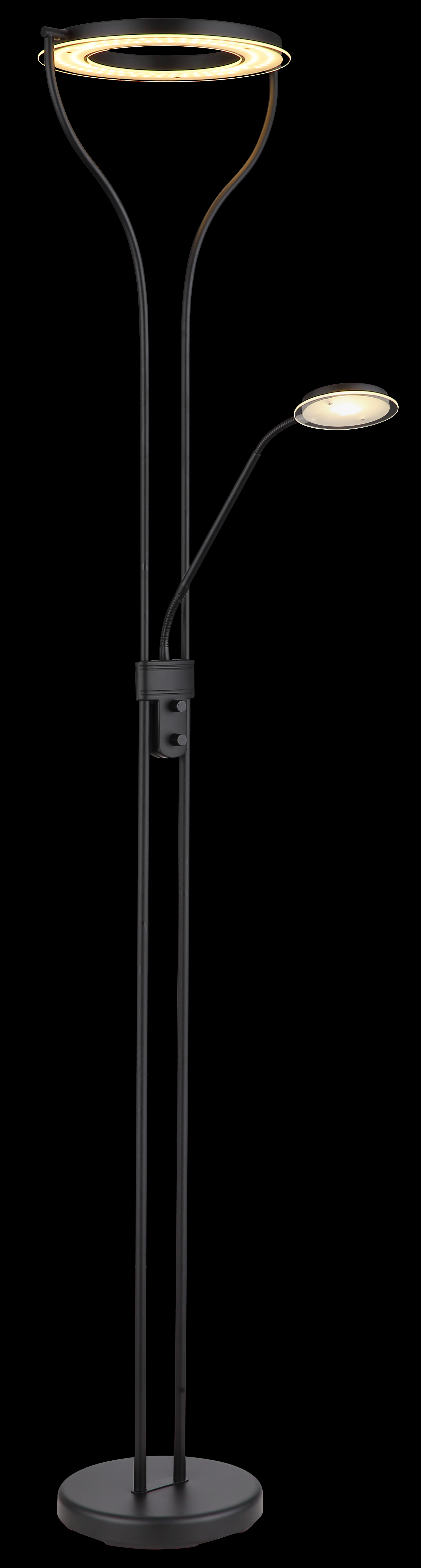 LED-Deckenfluter in Fb. Schwarz, Stehlampe, LED, Ringlampe, Standfuß, schwarz