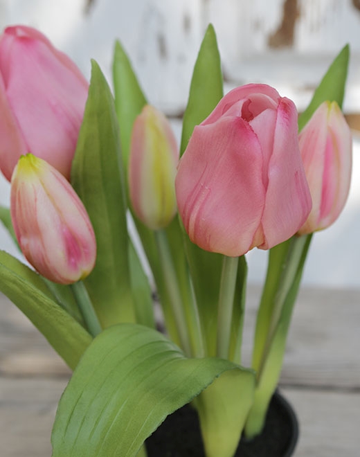  // Tulpen getopft // Real Touch, rosa-grün // 5-fach // Höhe ca. 25 cm