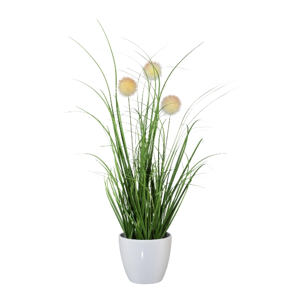 Gasper Grasbusch mit Kletten im Topf ca. H36 cm in 36cm, creme