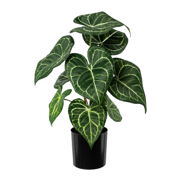 Gasper Anthurienpflanze im Topf 37cm SCHAR ca. 37 cm hoch in Kunststoff, Grün-weiß, herbstlaub, künstliche pflanze, herzform blatt, grüne pflanze, topfpflanze