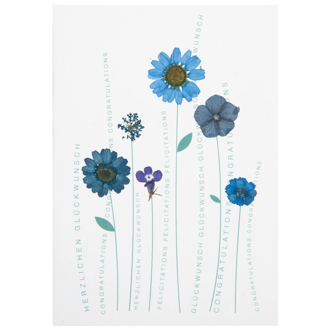 Herzblütenkarte Herzlichen Glückwunsch mehrsprachig Herzblütenkarte Herzlichen Glückwunsch mehrsprachig, blume, karte, glückwunsch, blüten, blau
