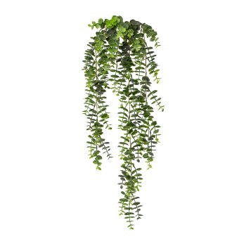Gasper Eukalyptus-Hängezweig in Farbe Grün