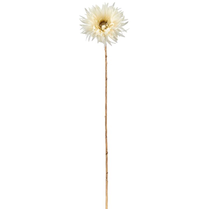 Gasper Gerbera, 63cm, naturweiß in Farbe Naturweiß, Kunstblume, Daisy-Stiel, langen Stiel, Cremefarbige Blüte, Wohndekoration