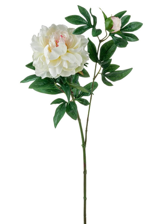 Päonie 68cm 2342778E1 in creme-weiß