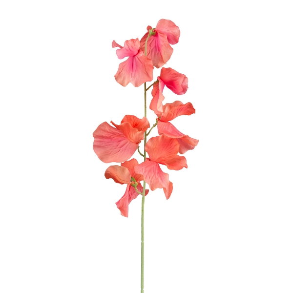 Wicke ca.50cm AFELIA in , Blume, Stängel, Pfingstrose, Rosenähnliche Blüte, Korallenrot