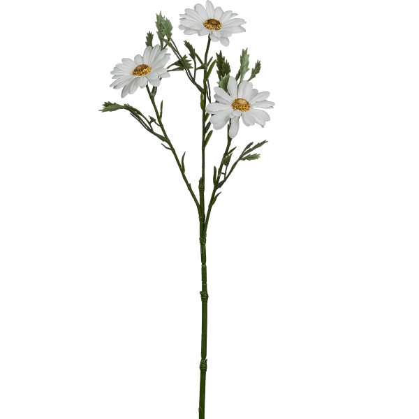 Gasper Margerite x3, 46cm,weiß in Farbe Weiß, Blume, Gänseblümchen, Stielpflanze, Weiße Blüten, Blätter