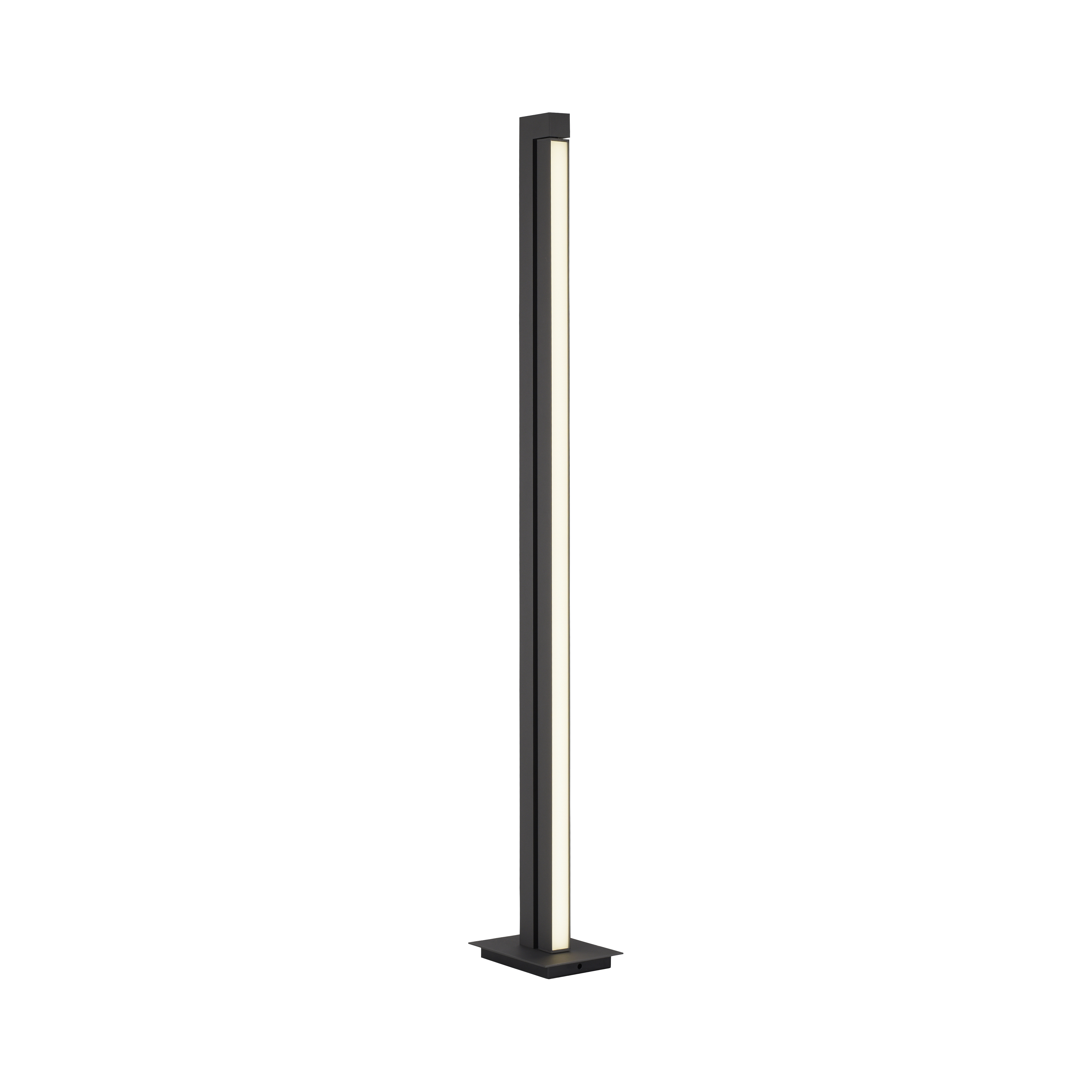 Paul Neuhaus LED-Stehleuchte Pure-Lines in Anthrazit