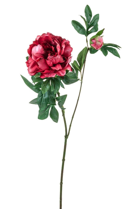 Päonie 68cm 2342405E1 in rot-rosa