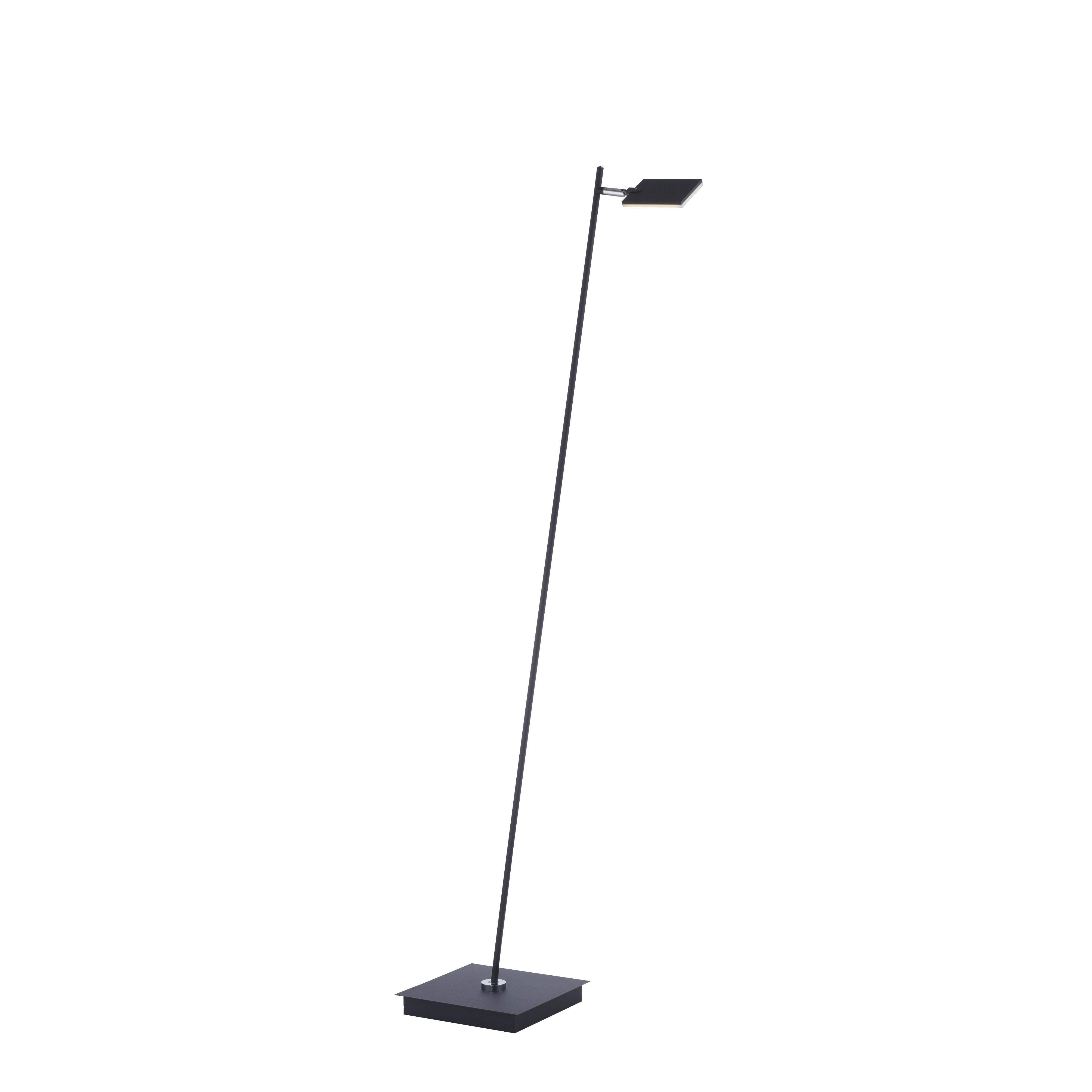 Paul Neuhaus LED-Stehleuchte Pure-Mira in Schwarz