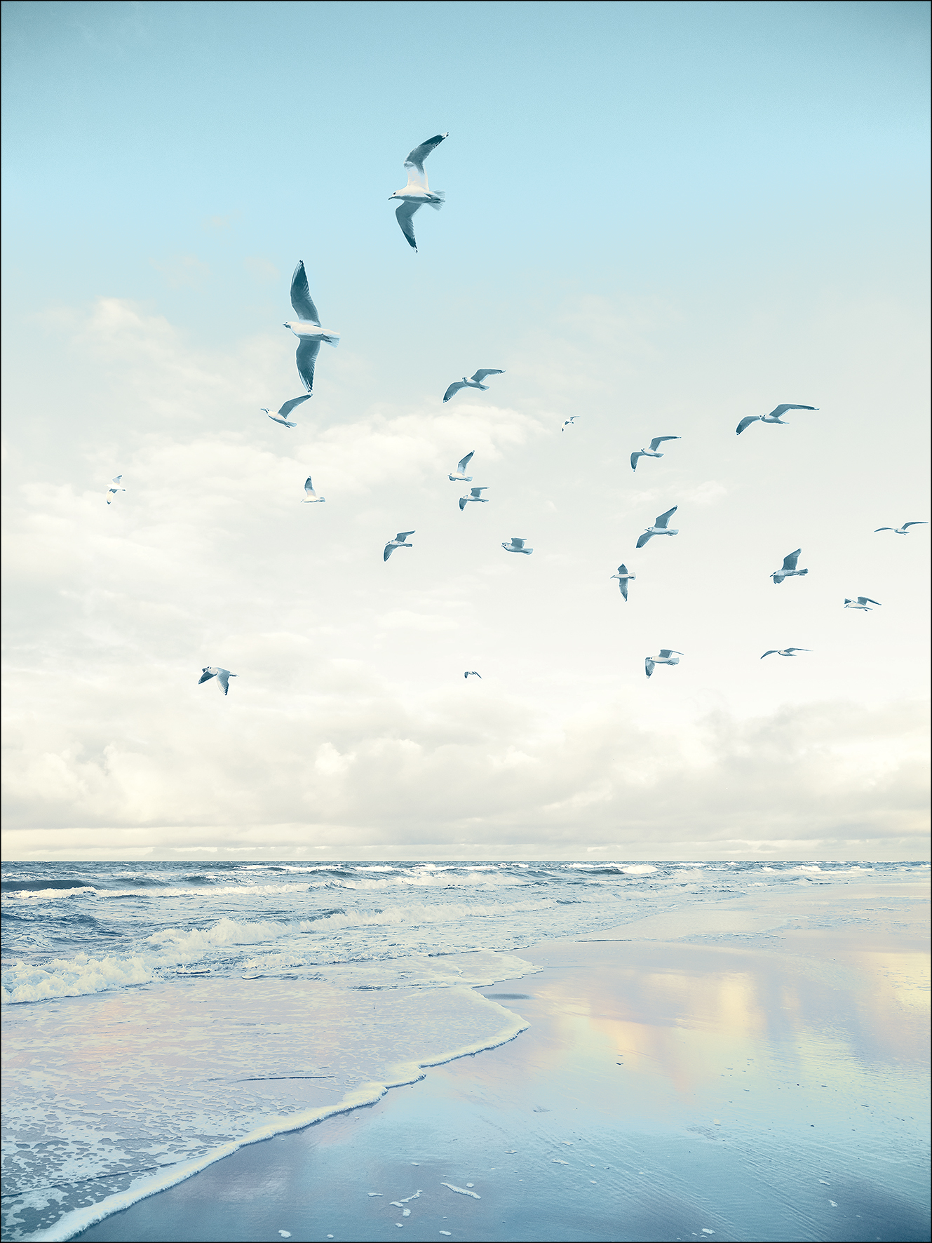 ProArt Glas-Art 60x80cm Seagulls On The Beach ProArt Glas-Art 60x80cm Seagulls On The Beach