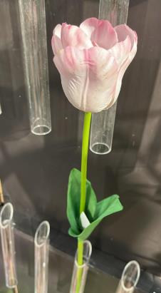Andreas Tulpe,franz.'Deluxe',65cm TULPE in 