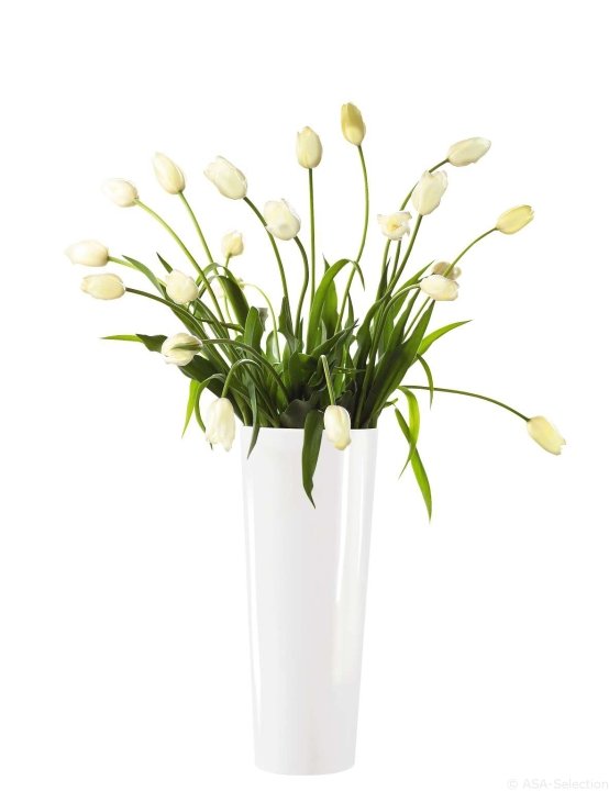 ASA Selection Vase Mono in Farbe weiß glänzend