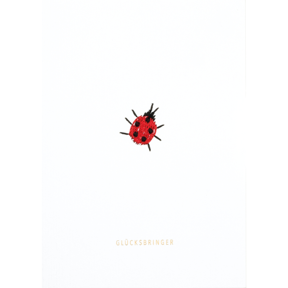 Bunte Stickereikarte Glücksbringer, Glücksbringer, Käfer, Marienkäfer, Aufkleber, Objekt