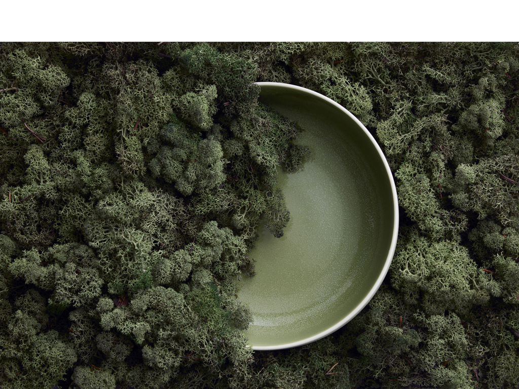 F&H Salatschüssel STUDIO ROUND NORTH in Farbe Matte white/Shiny moss