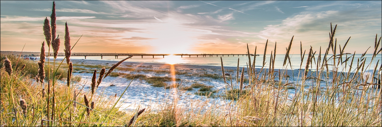PRO ART Alu-Art 150x50cm At The Beach II