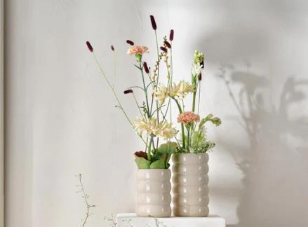 ASA Selection Vase LOOPY in Farbe nude, blumen, vase, deko, strauß, pflanzenarrangement